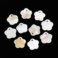 Пресноводная Раковина Подвески из пресноводных оболочек, цветок, 11~12x11~12x2 мм, отверстие : 1.2 мм