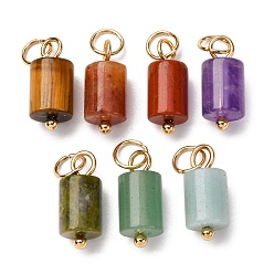 Смешанные камни Подвески-колонны из натуральных смешанных драгоценных камней с 304 соединительными кольцами из нержавеющей стали, золотые, 14x6 мм, отверстие : 4 мм