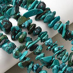 Бирюза из Хубэя Натуральные нити бирюзовый шарик Hubei, самородок, 7~42x7~24x1~6 мм, отверстие : 0.5 мм, 15.20~15.43'' (38.6~39.2 см)