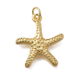 Настоящее золото 18K Латунные подвески, прелести морская звезда, без кадмия и без свинца, стойки покрытие, долговечный, с целью перехода в кольце, реальный 18 k позолоченный, 21x19x4 мм, отверстие : 3.6 мм