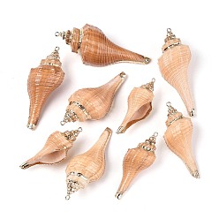 Морская Ракушка Подвески из натуральной раковины морского моллюска, покрытые гальваническим покрытием., подвески в форме ракушек, с медными петлями, золотые, цвет морской раковины, 50~73x21~30x18~26 мм, отверстие : 1.8~2 мм