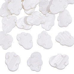 Белый 24шт. резные бусины из натуральных пресноводных ракушек, облако, белые, 13.5x17x2.5 мм, отверстие : 1 мм