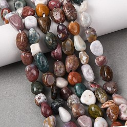 Океанический Джаспер Океан Природный яшмы бисер нитей, самородки, упавший камень, 8~12x7~10x4~8 мм, отверстие : 0.8 мм, около 40~42 шт / нитка, 15.7 дюйм (40 см)