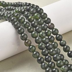 Другие Нефриты Натуральный канадский нефрит бисер пряди, круглые, 8 мм, отверстие : 0.8 мм, около 50 шт / нитка, 15.75 дюйм (40 см)