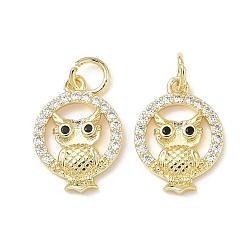 Настоящее золото 18K Латунные микро проложить кубического циркония подвески, с целью перехода в кольце, сова прелести, без свинца и без кадмия, долговечный, стойки покрытие, реальный 18 k позолоченный, 15.5x11.5x2 мм, отверстие : 3.4 мм