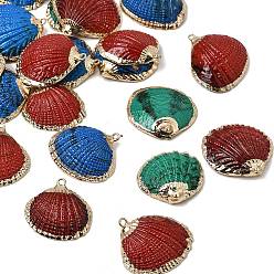 Mixed Color Brass & Spray Painted Natural Shell Pendants, Shell  Shape Charms, with Golden Plated Edge, Mixed Color, 24.5~27x27~28x6~7mm, Hole: 1.8mm