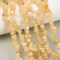 Цитрин Бусины из дрогоценного камня, Природный цитрин, окрашенная и подогревом, чип, желтые, 5~8x5 мм, отверстие : 0.3 мм, 32 дюйм
