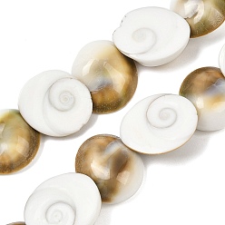 Морская Ракушка Натуральные бусины из ракушек «глаз Шивы», полукруглая форма раковины, цвет морской раковины, 17.5~19x15.5~17.5x6~7.5 мм, отверстие : 0.5~0.6 мм, около 27 шт / нитка, 16.02'' (40.7 см)