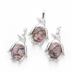 Родонит Природные подвески родонит, с латунной фурнитурой , пингвин, платина, 34~35x24~25x5~8 мм, отверстие : 8x5 мм