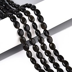 Золотой Обсидиан Естественный золотистый отлив обсидиан бисер пряди, Плоско-овальные, 8x6x4 мм, отверстие : 0.8 мм, около 48~49 шт / нитка, 14.88~15.16'' (37.8~38.5 см)