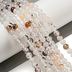 Дендритный Агат Нити из натурального дендритного агата, класс А, круглые, 6 мм, отверстие : 1.2 мм, около 61 шт / нитка, 14.37'' (36.5 см)