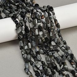 Орлиный Глаз Камень Натуральный орлиный глаз бусы, самородки, упавший камень, 6~11x6~8x4~7 мм, отверстие : 1 мм, около 49~51 шт / нитка, 15.35~15.75'' (39~40 см)