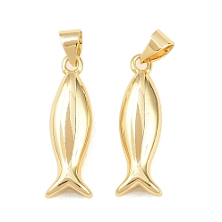 Настоящее золото 18K Латунные подвески, рыбы прелести, долговечный, стойки покрытие, без свинца и без кадмия, реальный 18 k позолоченный, 22.5x7.5x4.5 мм, отверстие : 4.5x3.5 мм