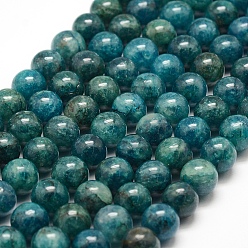 Apatite Natural Apatite Beads Strands, Round, 8mm, Hole: 1mm, about 48pcs/strand, 15.7 inch(40cm)