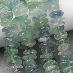 Флюорит Естественный зеленый флюорит бисер нитей, самородки, упавший камень, 9~13x9~14x4~5 мм, отверстие : 1 мм, около 95~96 шт / нитка, 15.35'' (39 см)
