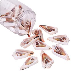 Light Coral Spiral Shell Pendants, Light Coral, 44~56x22~28x7mm