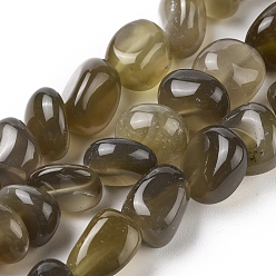 Цвет Оливы Природный агат бисер нитей, упавший камень, окрашенная и подогревом, самородки, оливковый, 8~16x9~13x9~12 мм, отверстие : 1.4 мм, около 36~42 шт / нитка, 14.96 дюйм (38.0 см)