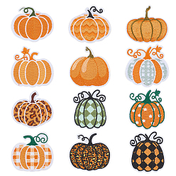 (52) Непрозрачная лаванда 12 шт. 12 стили тыква полиэстер компьютерная вышивка ткань термоприклеиваемые/пришивные заплатки, аксессуары для костюма, аппликация, разноцветные, 48~56x46~57x1.5~2 мм, 1 шт / стиль