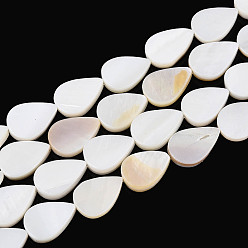 Морская Ракушка Естественных пресноводных оболочки бисер нитей, слеза, цвет морской раковины, 14~14.5x10~10.5x2~3 мм, отверстие : 0.9 мм, около 26 шт / нитка, 14.57~14.76 дюйм (37~37.5 см)