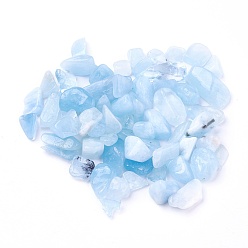 Aquamarine Natural Aquamarine Beads, Undrilled/No Hole, Chips, 5~22x4~9x2~6mm, about 100g/bag