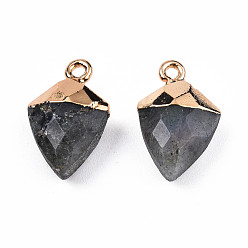 Лабрадорита Природные подвески лабрадорита, с легкими позолоченными железами, граненые, воздушный змей очарование, 18.5x11.5~12x6 мм, отверстие : 1.6 мм