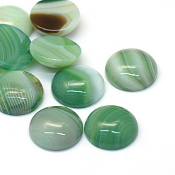 Темный Морско-зеленый Окрашенные природные полосатые агатовые / полосатые агатовые кабошоны, полукруглые / купольные, темно-зеленый, 20x5~8 мм