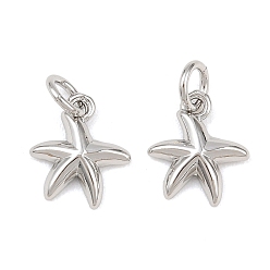 Морская звезда Латунь прелести, с целью перехода в кольце, морская тема, платина, морская звезда, 11x9.5x2 мм, отверстие : 3.5 мм