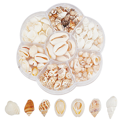 Mixed Color 135Pcs 5 Size Natural Conch Shell Beads, with 40Pcs White Shell Beads and 8~9g Cowrie Shell Beads, Mixed Color, 5~20x5~23x4.5~13mm