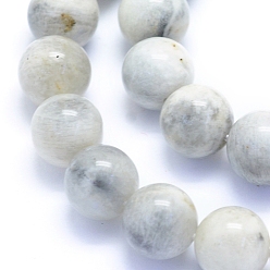 Grey Moonstone Natural Grey Moonstone Beads Strands, Round, 10mm, Hole: 0.8mm, about 39pcs/strand, 15.35 inch(39cm)
