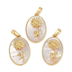 Морская Ракушка Овальные подвески из латуни с покрытием из ракушки, прелести рождения цветов, реальный 18 k позолоченный, долговечный, без свинца и без кадмия, цвет морской раковины, 25.5x16x4.5~5.5 мм, отверстие : 5.5x3 мм