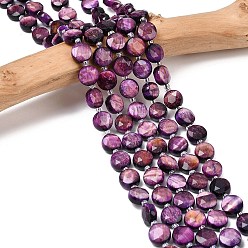 Фиолетовый Природных тигровый глаз бисер нитей, граненый шестиугольный разрез, плоско-круглые, окрашенная и подогревом, с бисером, фиолетовые, 10~10.5x6.5~7 мм, отверстие : 1.2 мм, около 31 шт / нитка, 14.53~14.72'' (36.9~37.4 см)
