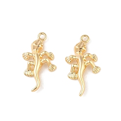 Настоящее золото 18K Латунные подвески, без кадмия, без никеля и без свинца, геккон, реальный 18 k позолоченный, 17x8.5x2.5 мм, отверстие : 1 мм