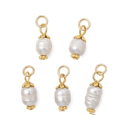 Настоящее золото 18K Подвески из натурального пресноводного жемчуга, Рисовые подвески с фурнитурой из нержавеющей стали, кремово-белые, реальный 304 k позолоченный, 18 мм, Перейти кольцо: 17~20.5x7.5~8 мм, внутренний диаметр: 6x1 мм
