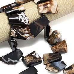 Коричневый Нити из натуральных бразильских агатов (окрашенных и нагретых) с градиентными бусинами, самородки, Топ пробуренной, кофе, 20~48x18~32x8~12 мм, отверстие : 1.6 мм, около 21 шт / нитка, 15.75~16.42'' (40~41.7 см)