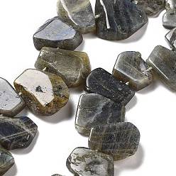 Лабрадорита Природные лабрадорита бисер нитей, самородки, Топ пробуренной, 16~17x18~23.5x6~8 мм, отверстие : 0.7 мм, около 15 шт / нитка, 7.28~7.72'' (18.5~19.6 см)