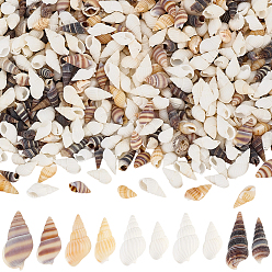 (52) Непрозрачная лаванда 400шт. 5 стили: украшения из натуральных раковин и ракушек, для наполнителя вазы, пляжная тематическая вечеринка, diy craft, домашнего декора, разноцветные, 13~28.5x5~10 мм