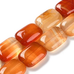Red Agate Натуральный красный агат бисер нитей, окрашенные, прямоугольные, 14~15x10~11x5~5.5 мм, отверстие : 1~1.2 мм, около 28 шт / нитка, 16.02 дюйм (40.7 см)