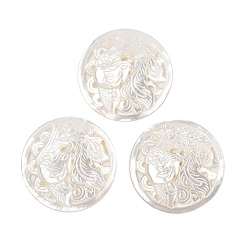 Белые Ракушки Резные подвески из натуральных белых ракушек, плоский круг с подвесками в виде феникса, 35.5~36x3.5 мм, отверстие : 1~2 мм