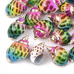 Colorful Spray Paint & Electroplate Spiral Shell Pendants, with Iron Findings, Light Gold, Colorful, 28~38x15~22x13~20mm, Hole: 2mm