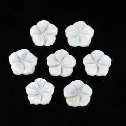 Coquillage De Mer Coquille eau douce naturelle cabochons, fleur, couleur de coquillage, 13~14.5x13~14.5x2~2.5mm