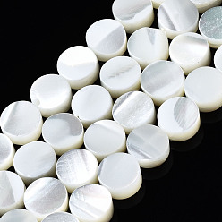 Морская Ракушка Натуральная оболочка из трохидных оболочек, плоско-круглые, отбеливатель, цвет морской раковины, 6x2.5 мм, отверстие : 0.7 мм, около 68~69 шт / нитка, 15.94 дюйм (40.5 см)