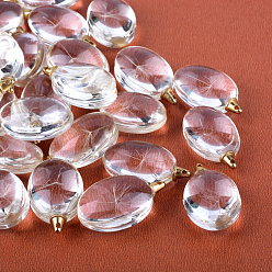 Light Gold Flat Oval Alloy Glass Pendants, Cadmium Free & Lead Free, with Dried Dandelion Inside, For Dandelion Wish Necklaces Making, Light Gold, 35x20x12~13mm, Hole: 1.5mm