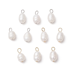Golden & Stainless Steel Color 10Pcs 2 Colors Natural Cultured Freshwater Pearl Rice Charms, with 304 Stainless Steel Loops, Floral White, Golden & Stainless Steel Color, 13.5~14x7mm, Hole: 2.5mm, 5pcs/color