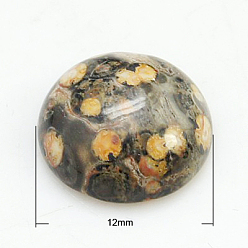 Леопардовая Яшма Кабошоны из камня, полукруглые / купольные, шкура леопарда яшмы, 12x5 мм