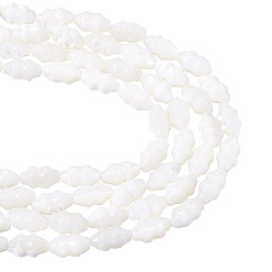 (404) Непрозрачное AB Кислое яблоко 2 нити натуральные бусины из ракушек-троху, Горлянка, цветочный белый, 9x5x5 мм, отверстие : 1 мм, около 42 шт / нитка, 14.61'' (37.1 см)