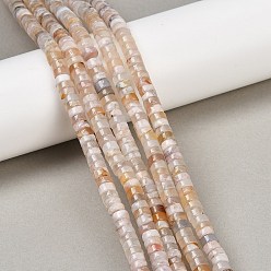 Вишневый агат Натуральные вишневые агатовые бусины, диск, Heishi бусы, 6x4 мм, отверстие : 1.2 мм, около 125 шт / нитка, 15.16'' (38.5 см)