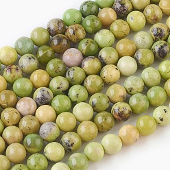 Змеевик Природные серпантину нитей бисера, круглые, 6 мм, отверстие : 1.2 мм, около 64 шт / нитка, 15.3 дюйм (39 см)