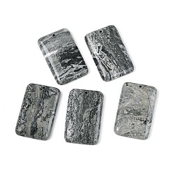 Rectangle Кулоны из натурального камня, прямоугольник амулеты, 48x30x7~7.5 мм, отверстие : 1.8~2 мм