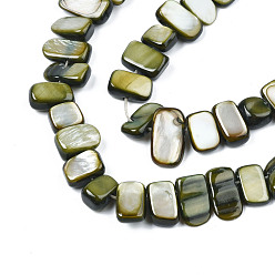 Dark Olive Green Natural Trochid Shell/Trochus Shell Beads Strands, Dyed, Rectangle, Dark Olive Green, 6~11x6~36x1~7mm, Hole: 1mm, about 45~55pcs/strand, 14.96 inch~15.35 inch(38cm~39cm)