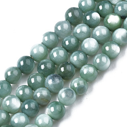 Light Sea Green Natural Freshwater Shell Beads Strands, Dyed, Round, Light Sea Green, 2.5mm, Hole: 0.5mm, about 122~136pcs/strand, 14.57 inch~15.63 inch(37cm~39.7cm)